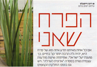 מגזין את (מעריב) :: כתבת עומק (3 עמודים) אודות יעל ישראלי, הספר אדונית לגורלה ושיטת אורייתא