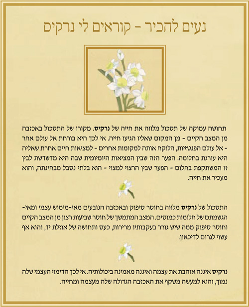 נרקיס :: תסכול הנובע מן הפער בין הרצוי למצוי